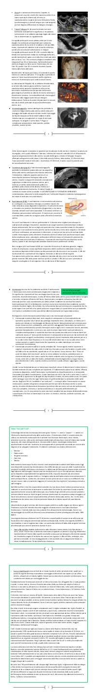 Preview documento per pagina 2