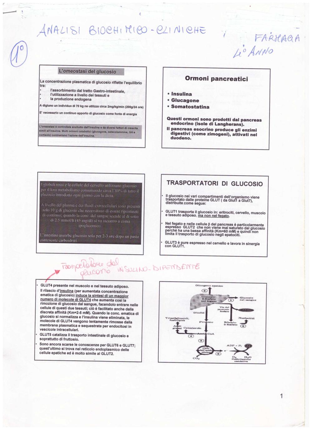 Preview documento per pagina 1