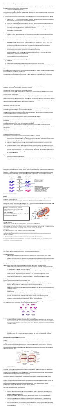 Preview documento per pagina 2