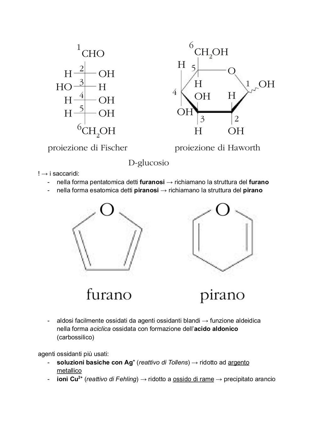 Preview documento per pagina 6