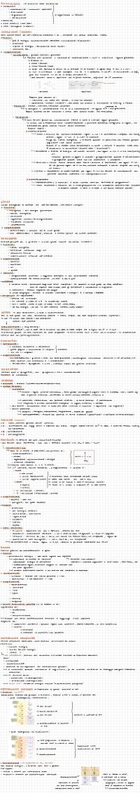 Preview documento per pagina 2
