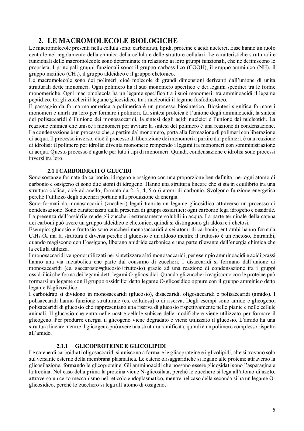 Preview documento per pagina 6
