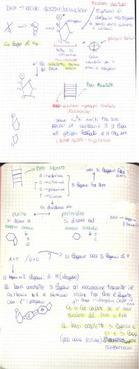 Preview documento per pagina 2