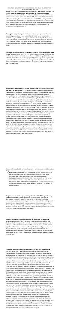 Preview documento per pagina 2