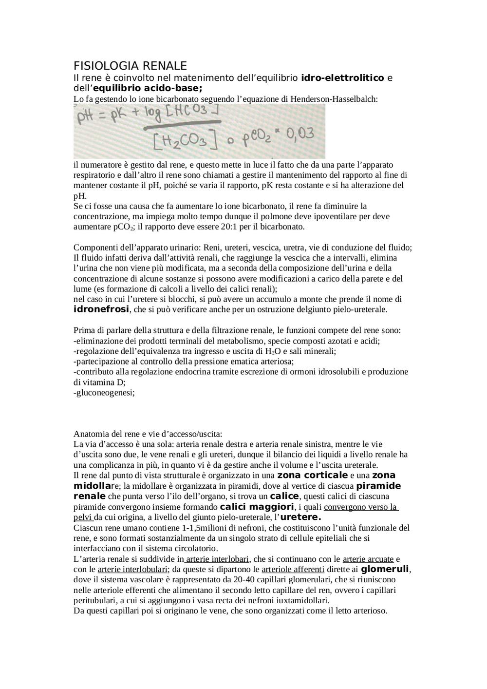 Preview documento per pagina 1