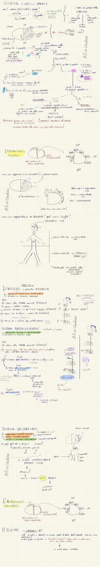 Preview documento per pagina 2