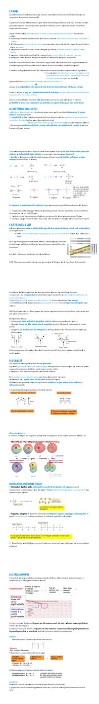 Preview documento per pagina 2