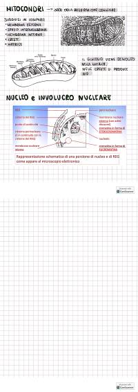 Preview documento per pagina 12