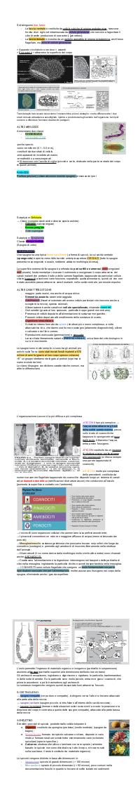 Preview documento per pagina 2