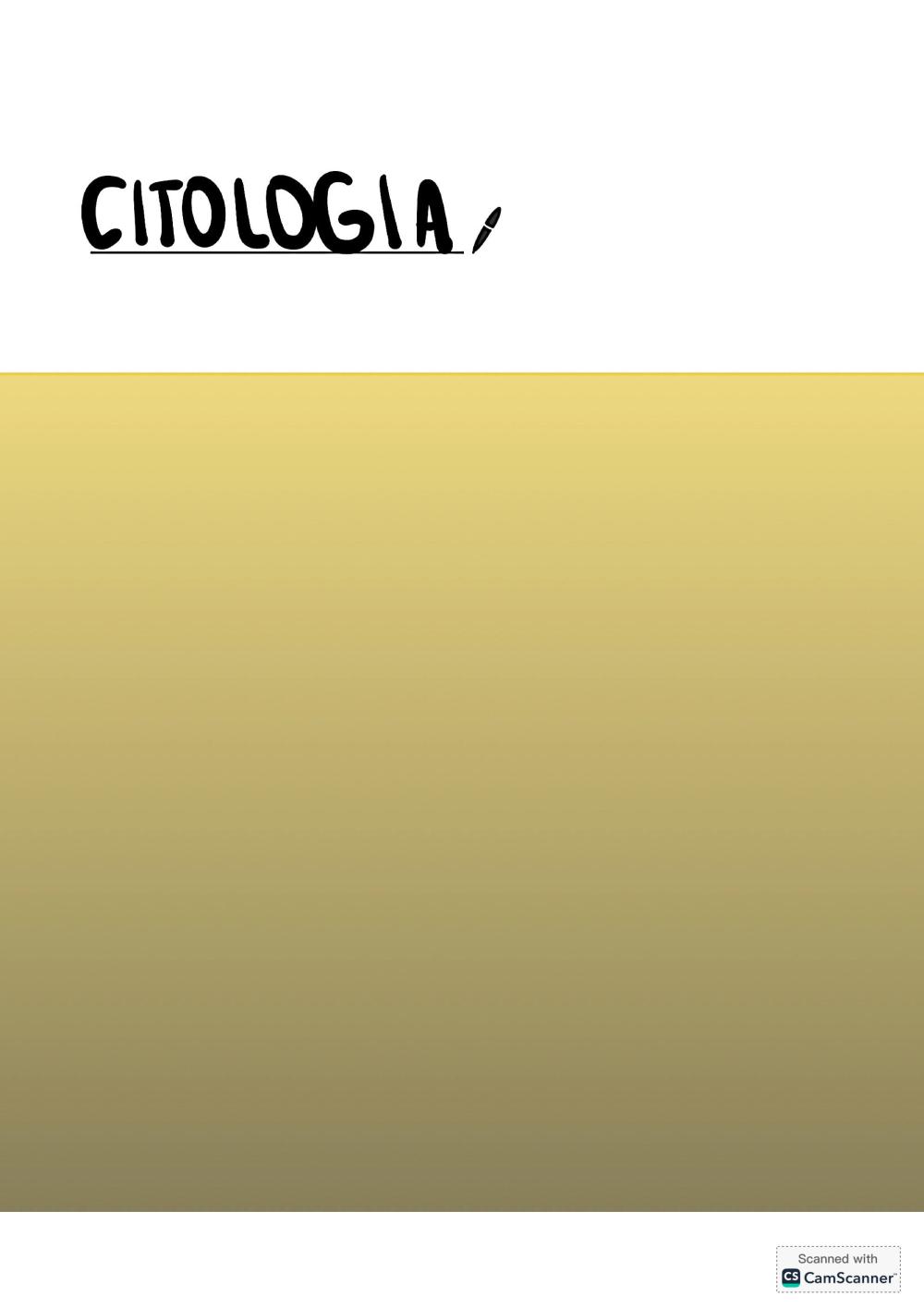Preview documento per pagina 1