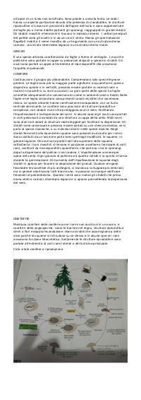 Preview documento per pagina 2