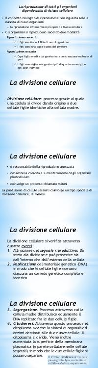Preview documento per pagina 2