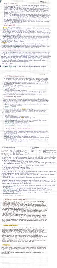Preview documento per pagina 2