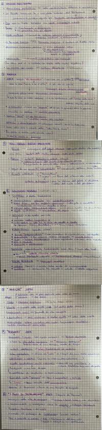 Preview documento per pagina 2