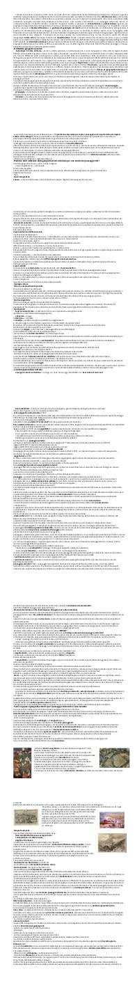 Preview documento per pagina 26