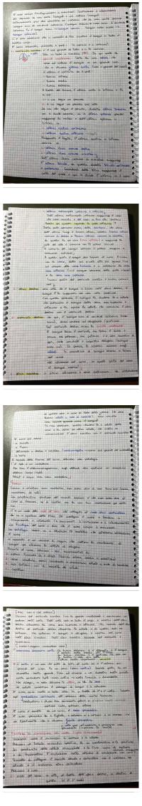 Preview documento per pagina 2