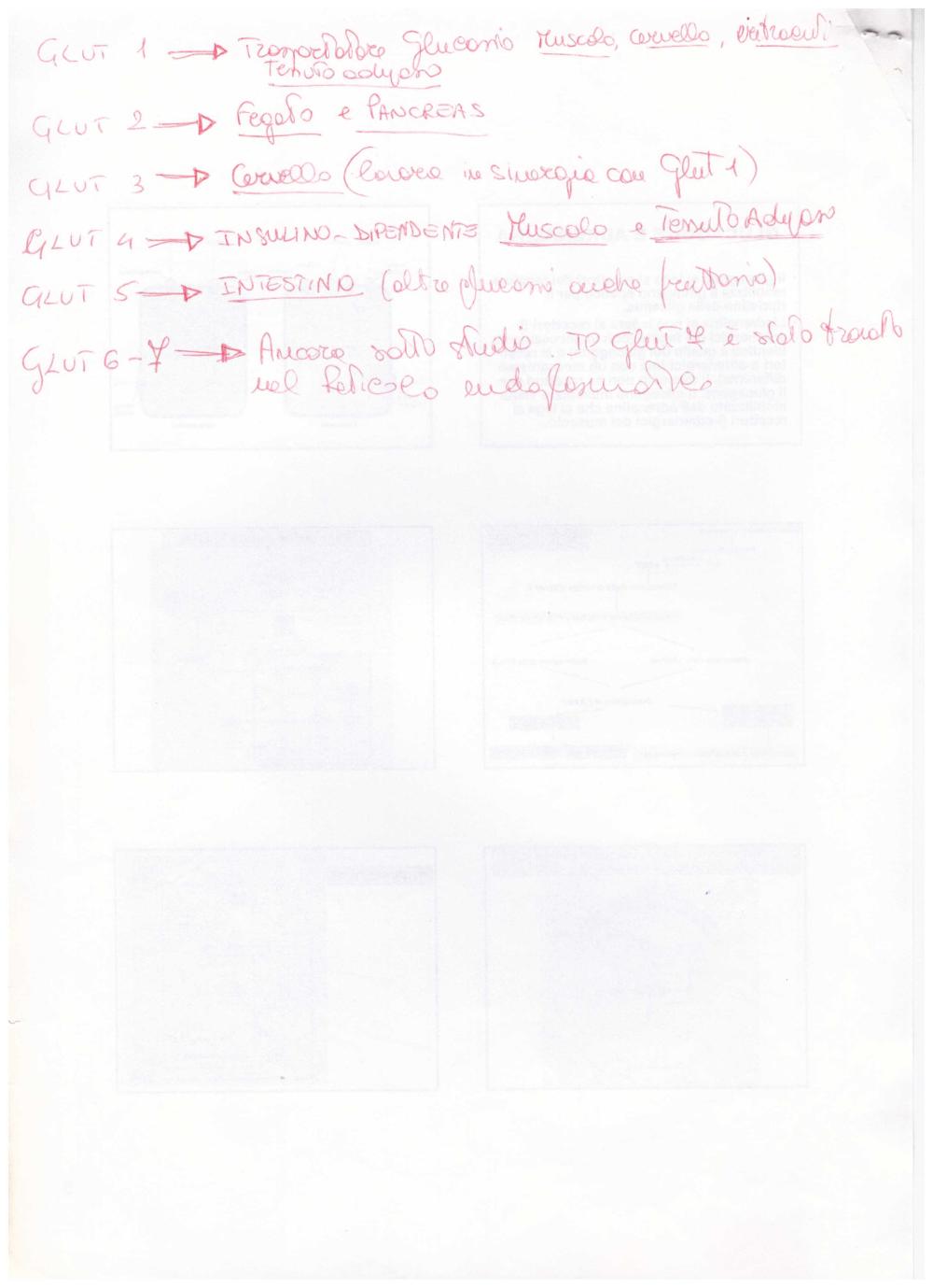 Preview documento per pagina 6