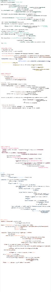 Preview documento per pagina 2