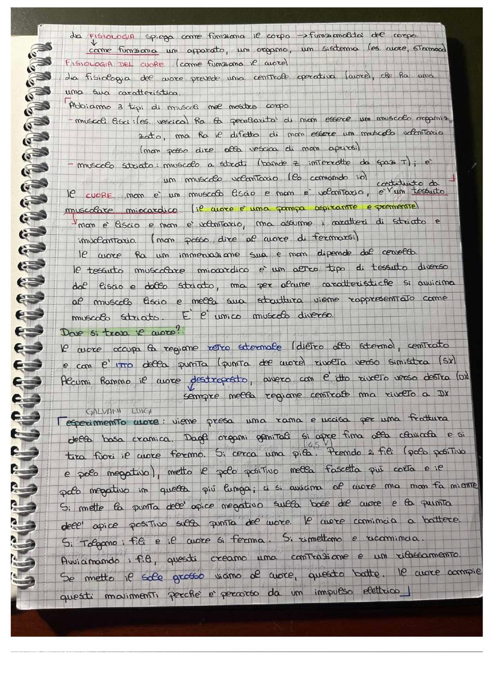 Preview documento per pagina 1