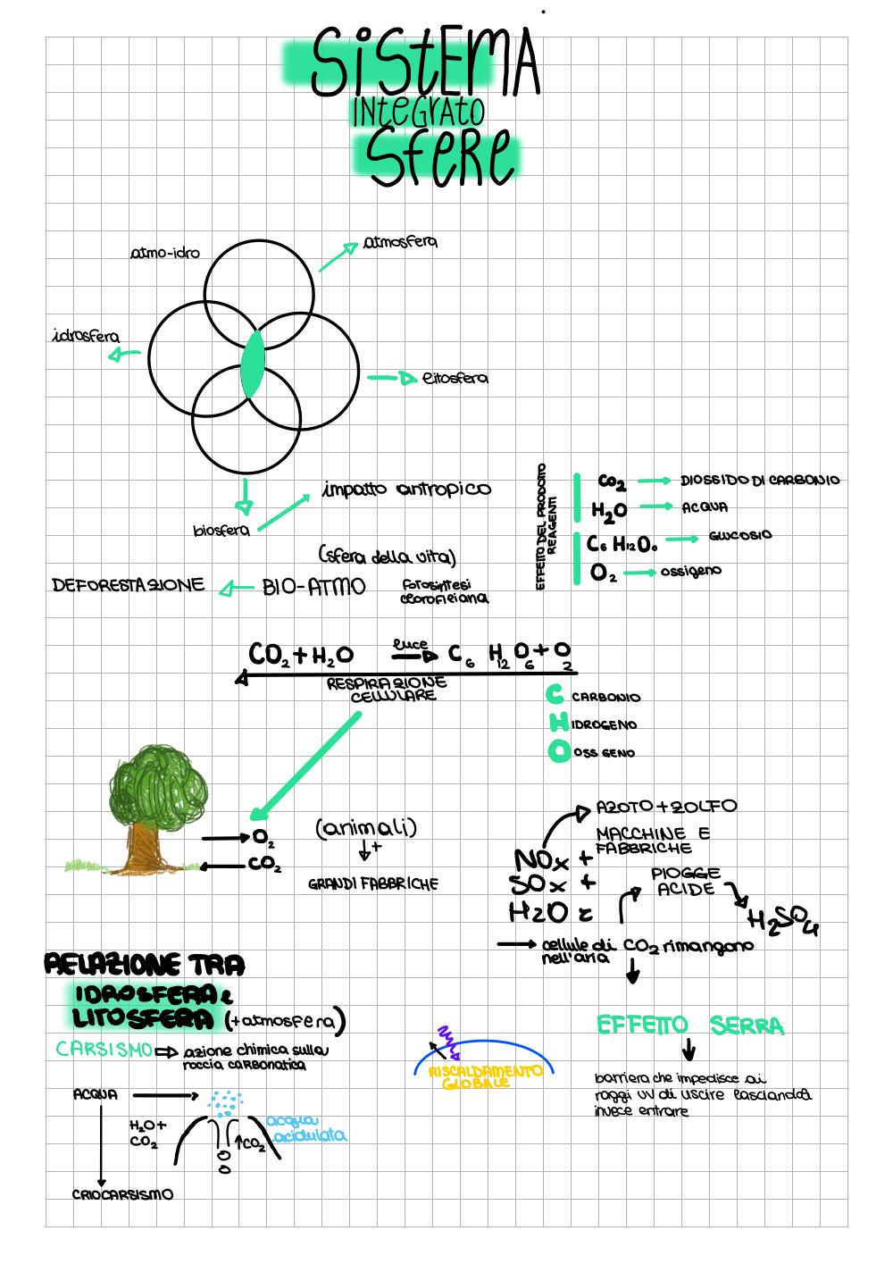 Preview documento per pagina 1