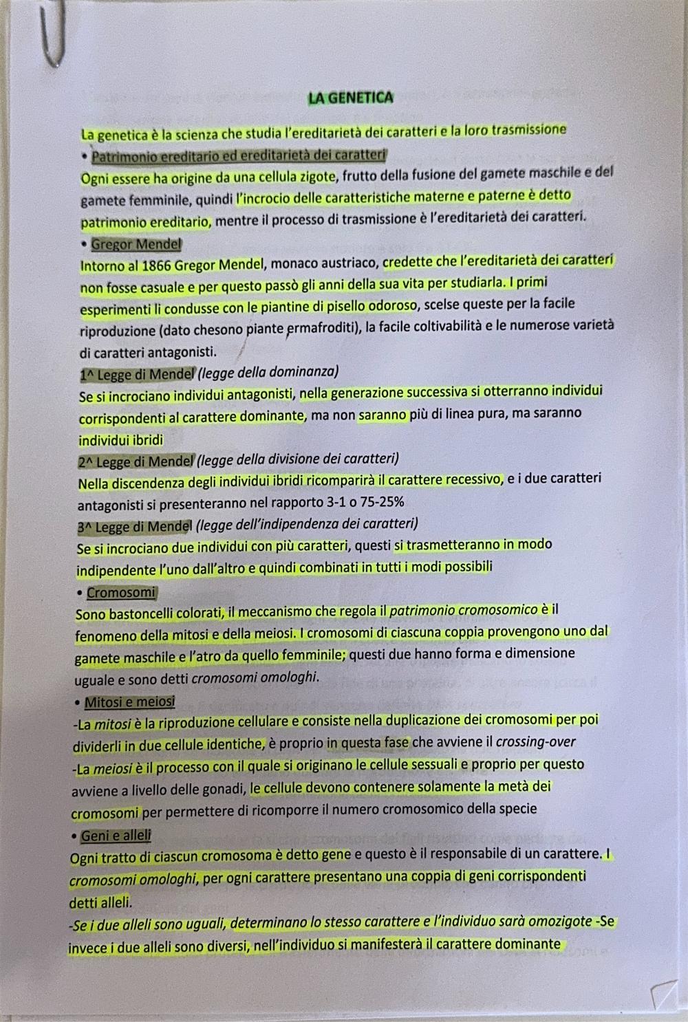 Preview documento per pagina 1