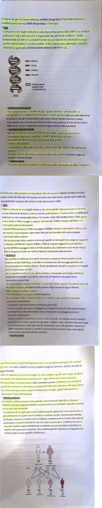 Preview documento per pagina 2