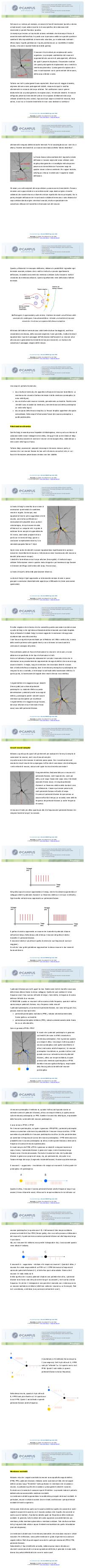 Preview documento per pagina 16