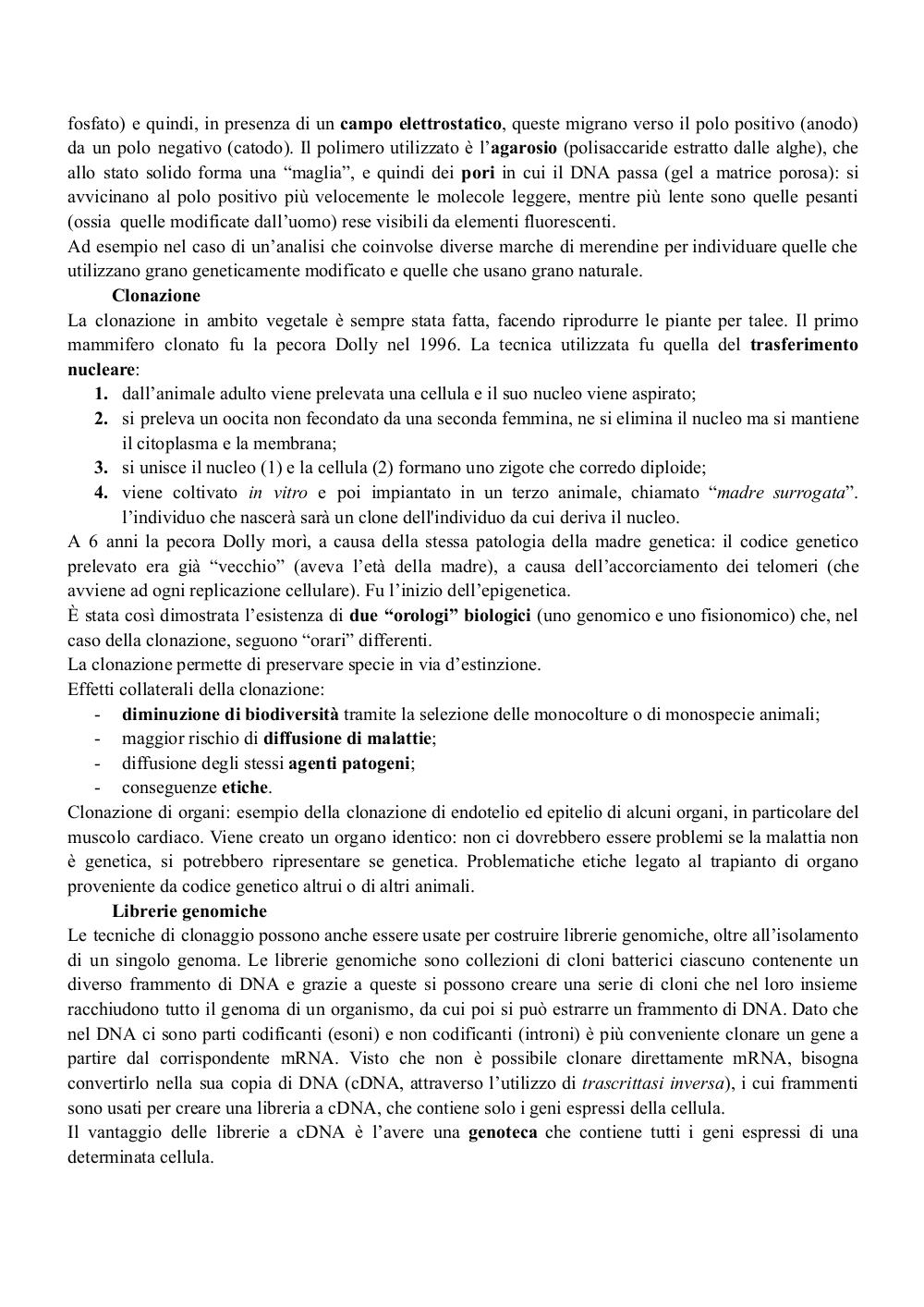 Preview documento per pagina 7