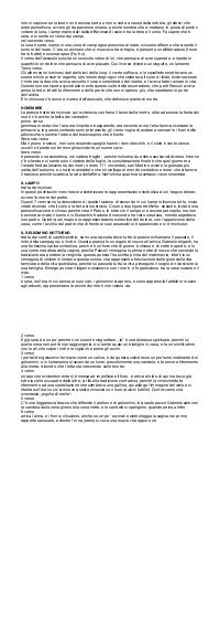 Preview documento per pagina 2