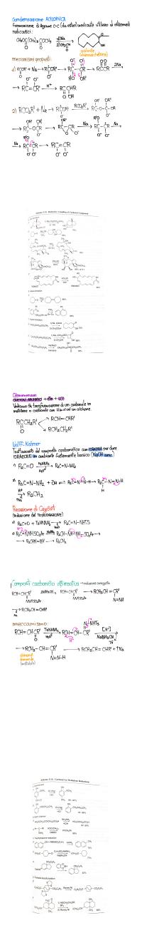 Preview documento per pagina 32