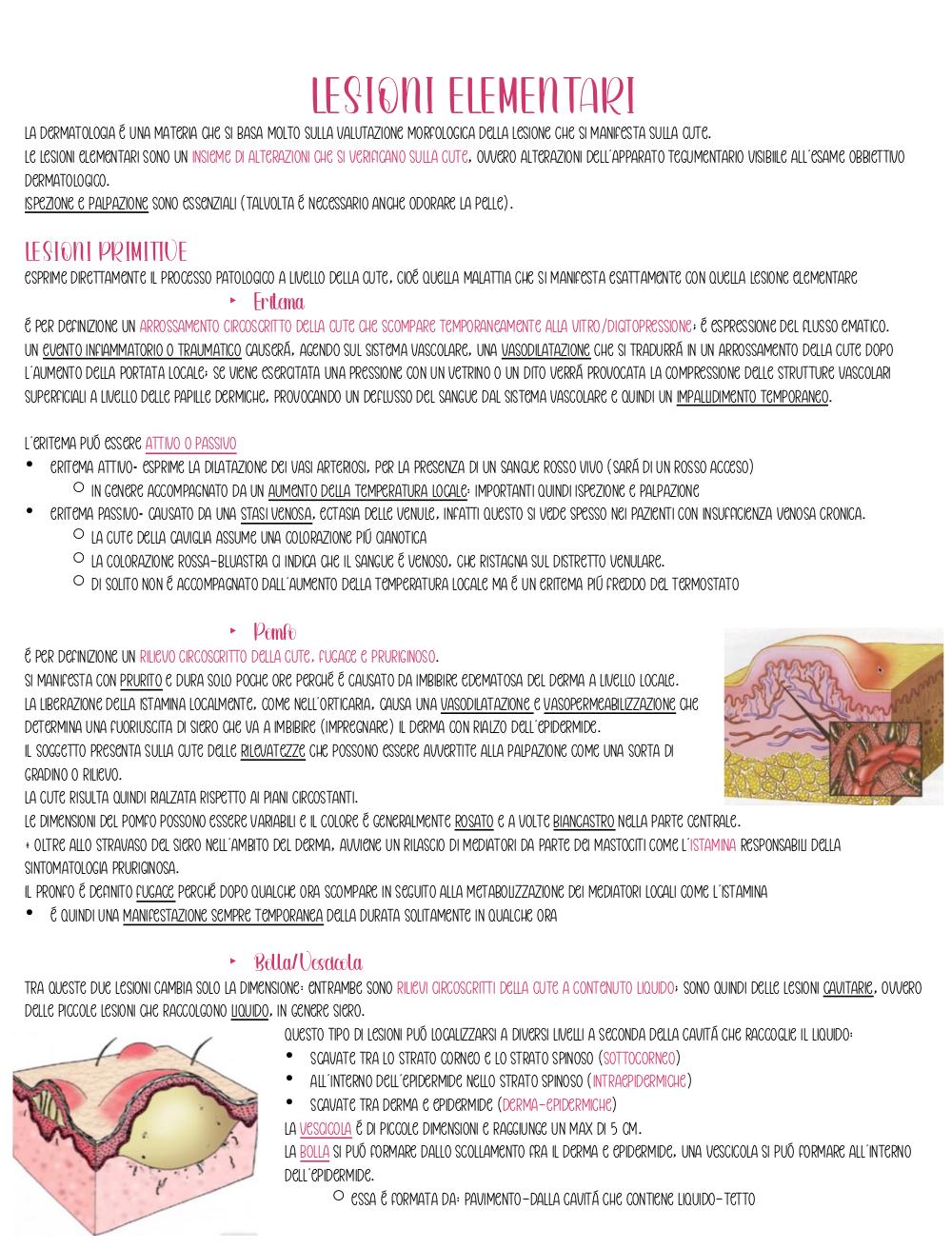 Preview documento per pagina 6