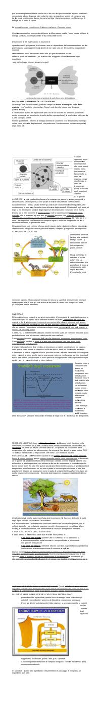 Preview documento per pagina 2