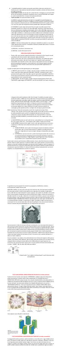 Preview documento per pagina 2