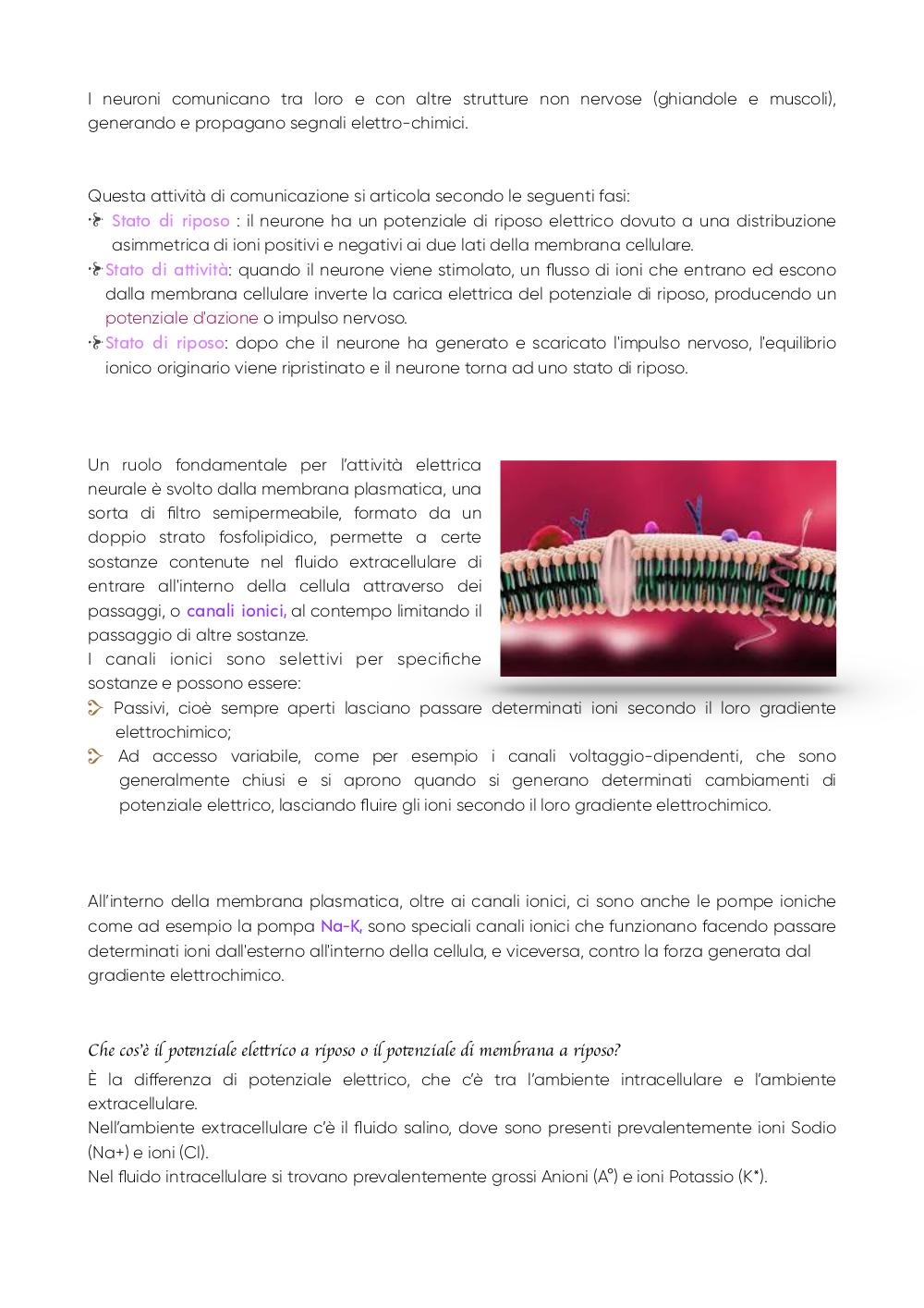 Preview documento per pagina 49