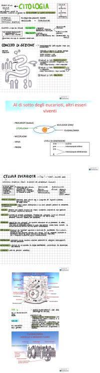 Preview documento per pagina 2