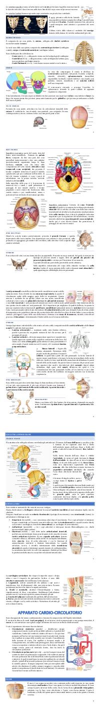 Preview documento per pagina 2