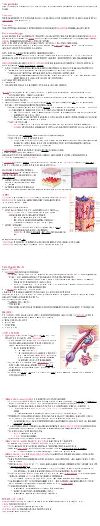 Preview documento per pagina 2