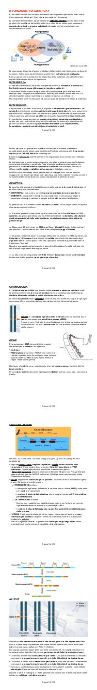 Preview documento per pagina 2