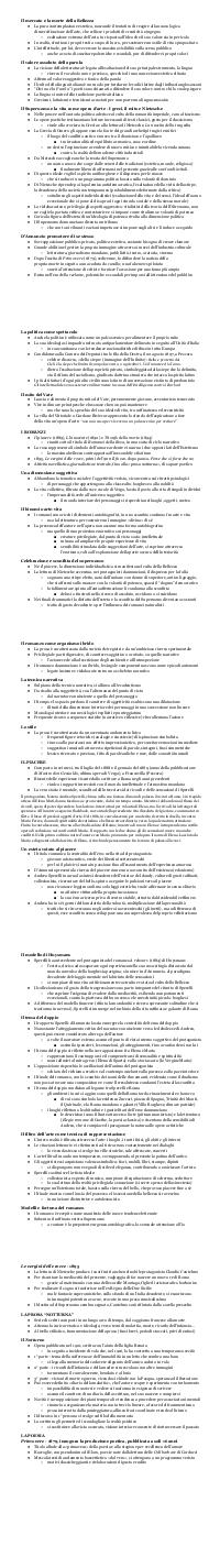 Preview documento per pagina 32