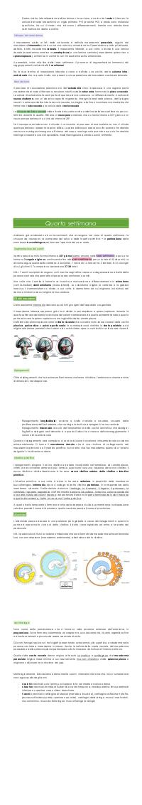 Preview documento per pagina 2