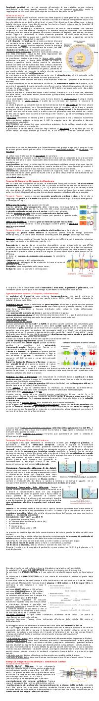 Preview documento per pagina 2