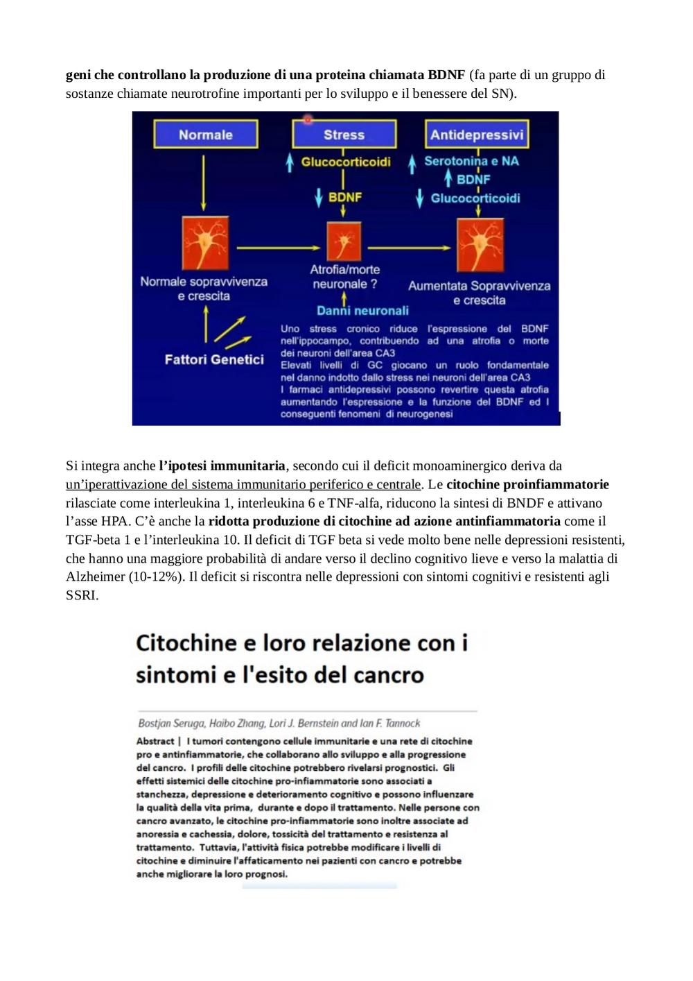 Preview documento per pagina 55