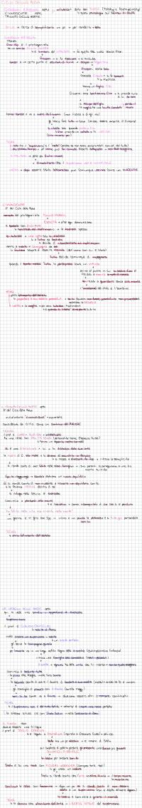 Preview documento per pagina 7