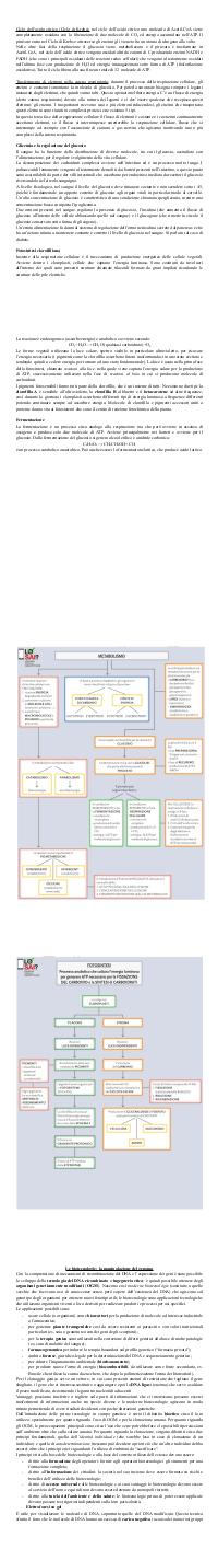 Preview documento per pagina 2