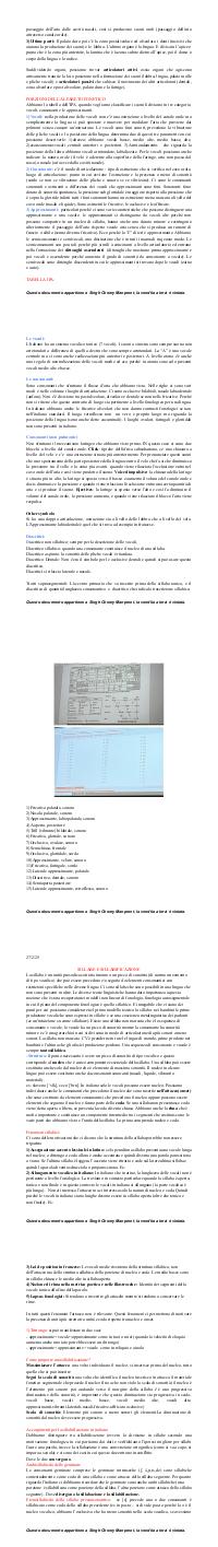 Preview documento per pagina 2