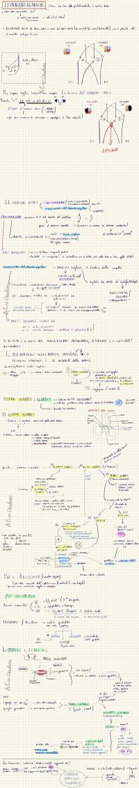 Preview documento per pagina 7