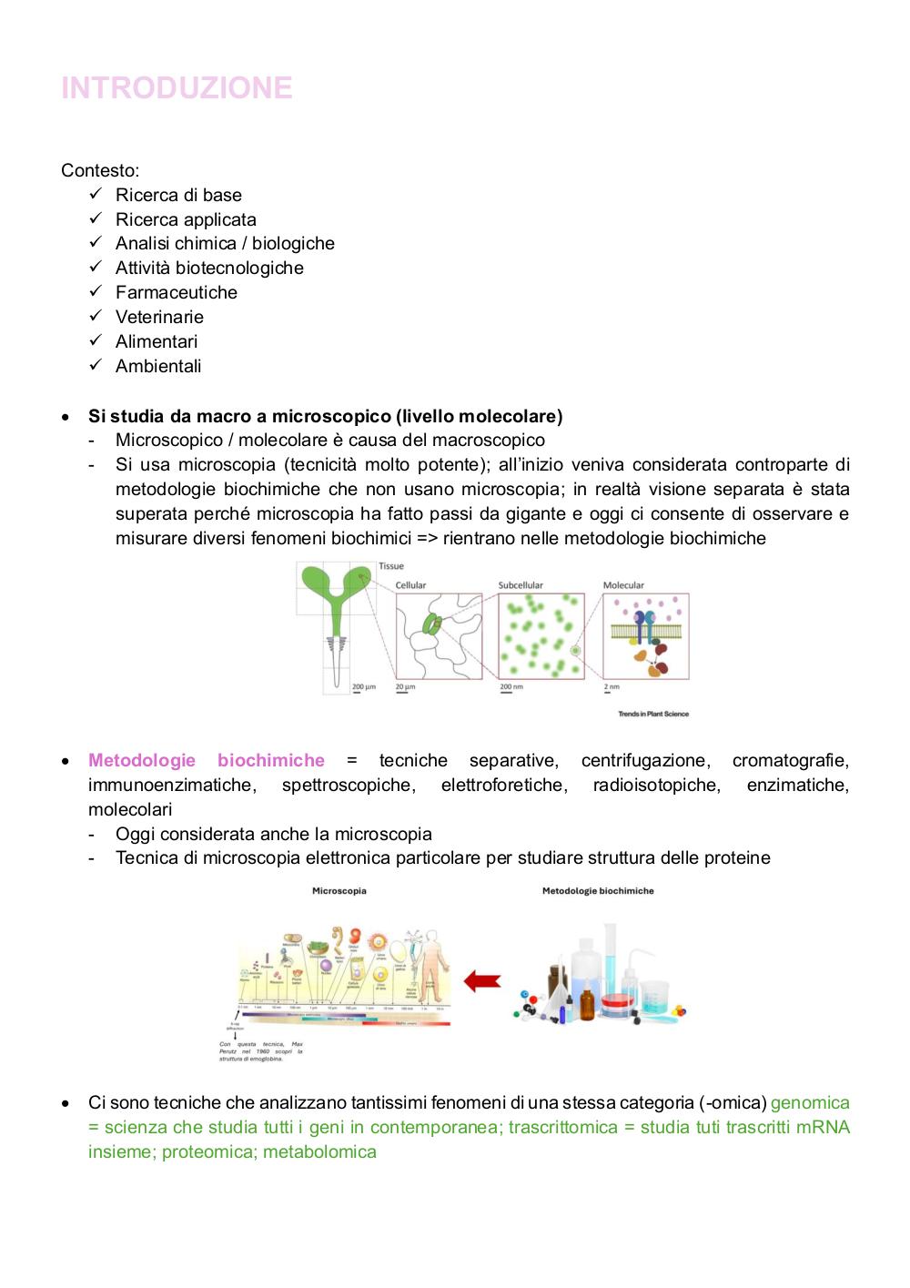 Preview documento per pagina 1