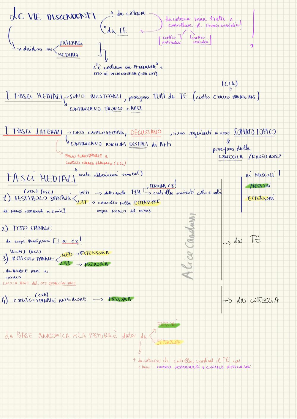 Preview documento per pagina 1