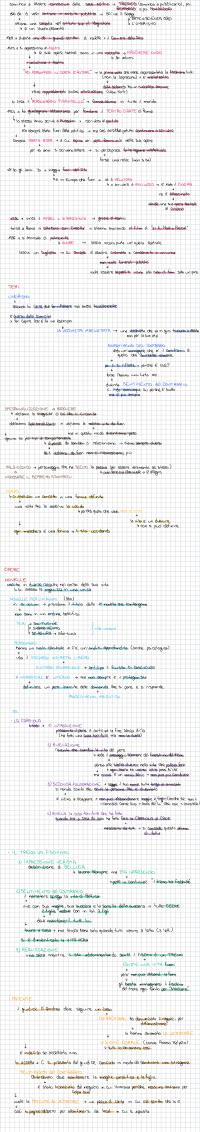 Preview documento per pagina 2