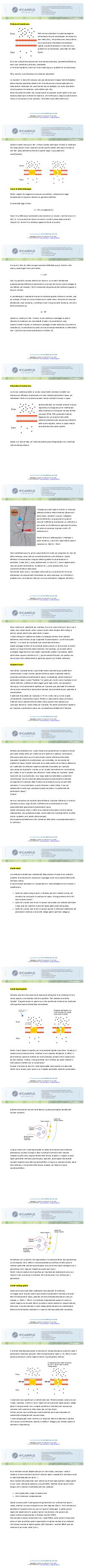 Preview documento per pagina 30